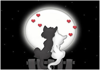 Sevgililer G�n� Dolunay� "Kaderimiz De�i�meye Ba�l�yor"